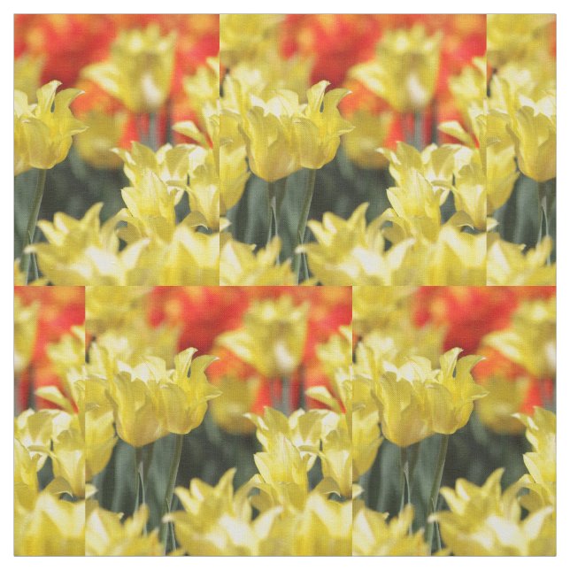 Falln Floral Summer Glow Fabric (Swatch)