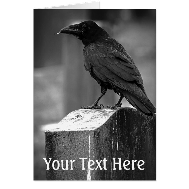 Falln Found A Feather (Front)