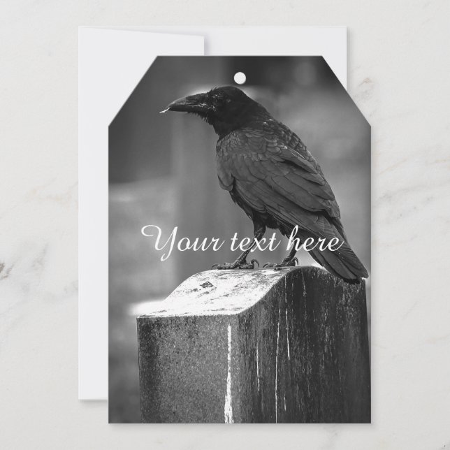 Falln Found A Feather (Front)