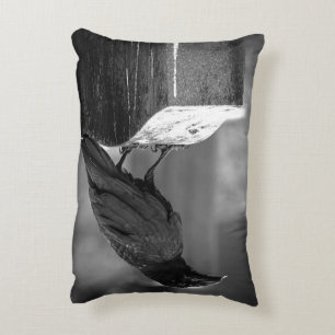 Falln Found A Feather Decorative Cushion