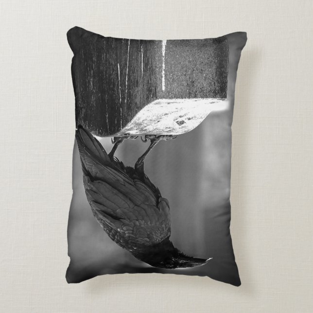 Falln Found A Feather Decorative Cushion (Back(Vertical))