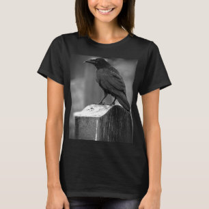 Falln Found A Feather T-Shirt
