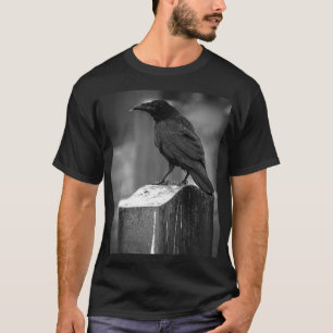 Falln Found A Feather T-Shirt