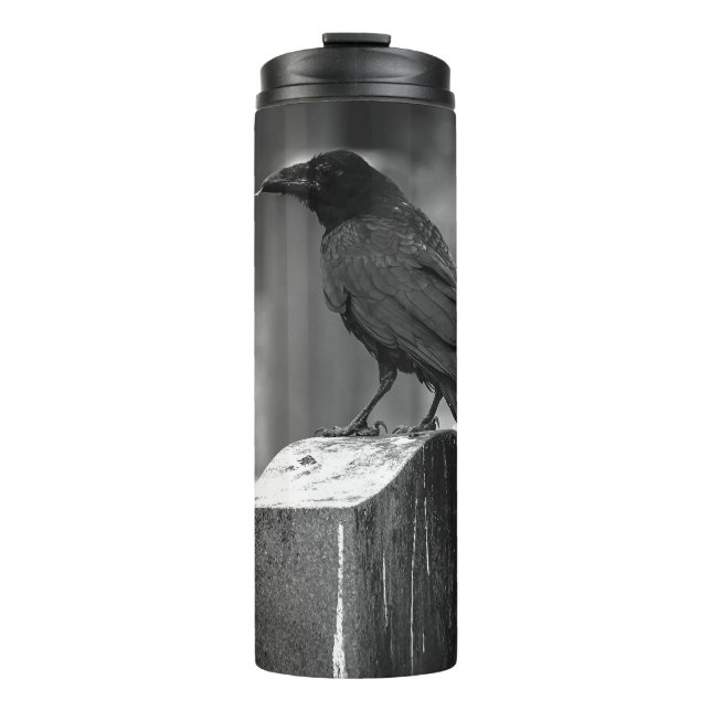 Falln Found A Feather Thermal Tumbler (Front)