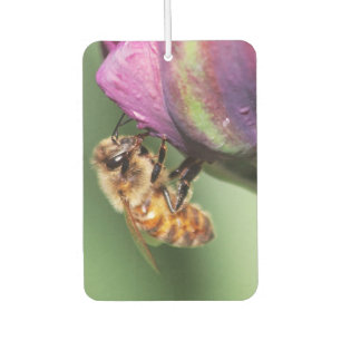 Falln Fuzzy Little Bee Car Air Freshener