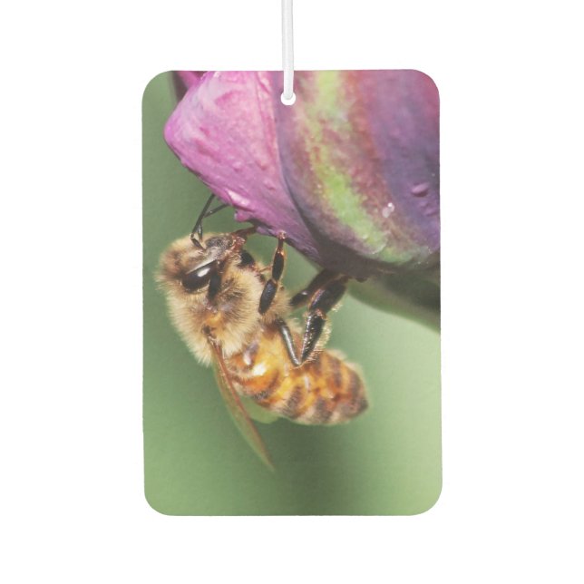 Falln Fuzzy Little Bee Car Air Freshener (Front)
