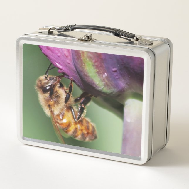 Falln Fuzzy Little Bee Metal Lunch Box (Front)