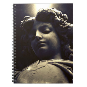 Falln Gabriel Descending Notebook