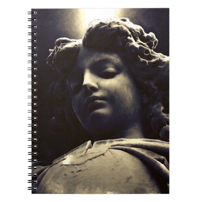 Falln Gabriel Descending Notebook (Front)