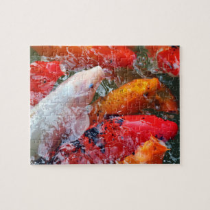 Falln Gathering Koi Jigsaw Puzzle