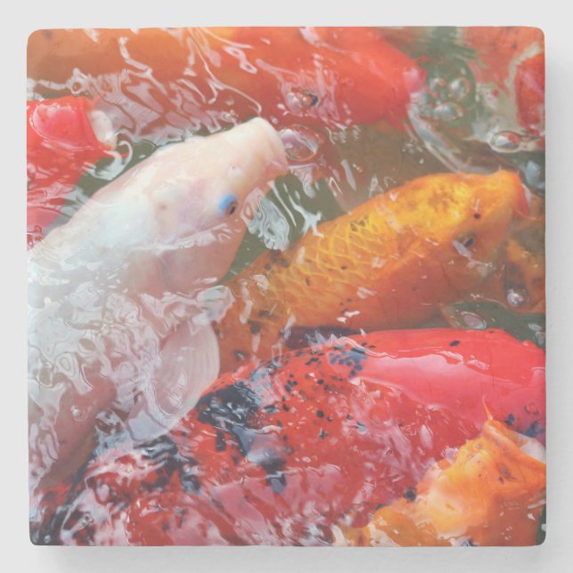 Falln Gathering Koi Stone Coaster (Front)