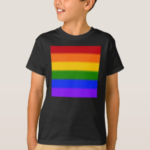 Falln Gay Pride Flag T-Shirt
