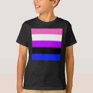 Falln Genderfluid Pride Flag T-Shirt