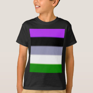 Falln Genderqueer Pride Flag T-Shirt