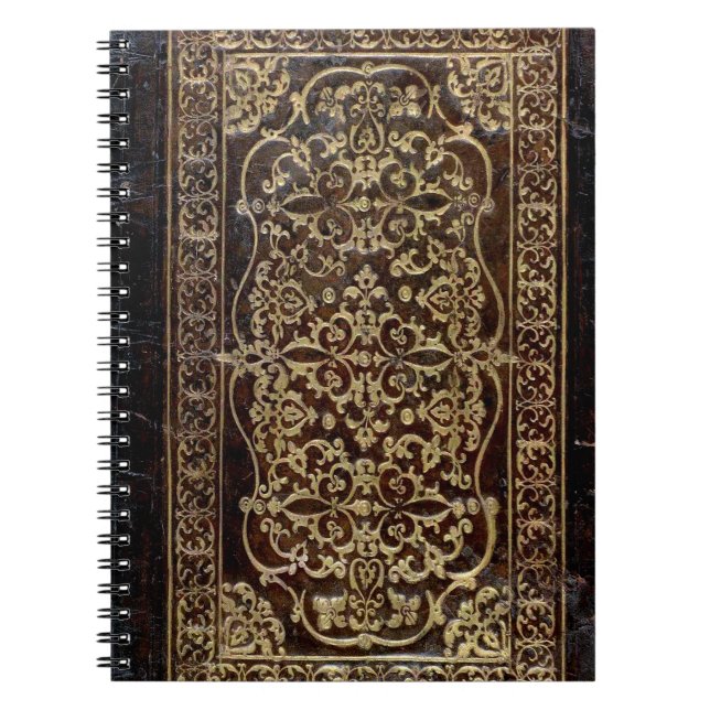 Falln Gilded Leather Tome Book (Front)
