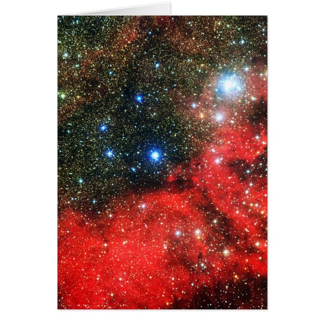 Falln Gold Dusted Galaxy (Front)