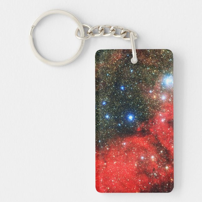 Falln Gold Dusted Galaxy Key Ring (Front)