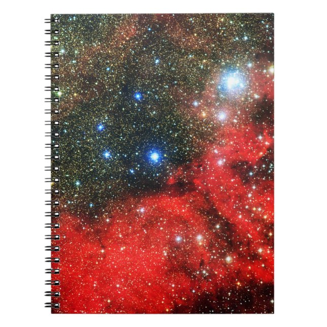 Falln Gold Dusted Galaxy Notebook (Front)