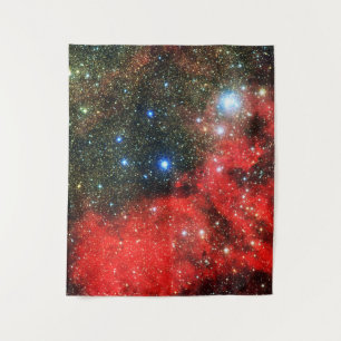 Falln Gold Dusted Galaxy Tapestry