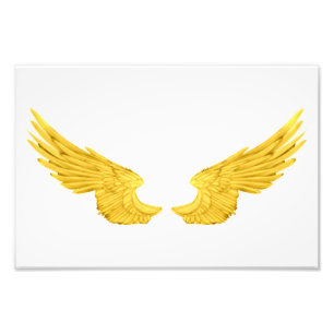 Falln Golden Angel Wings Photo Print