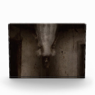 Falln I See You Photo Block