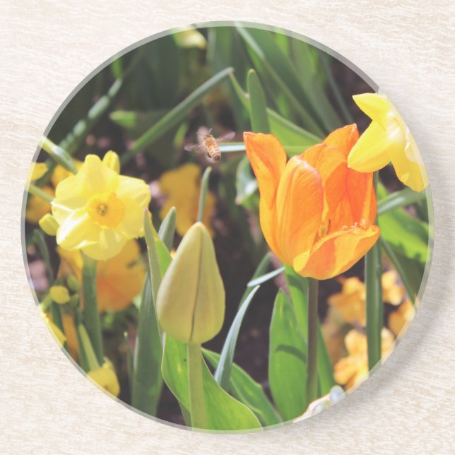 Falln Little Bee in Flight Coaster (Front)