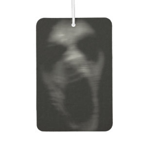 Falln Mental Disturbances Car Air Freshener