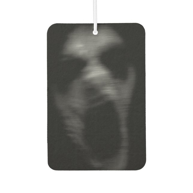 Falln Mental Disturbances Car Air Freshener (Front)