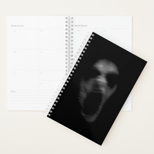 Falln Mental Disturbances Planner (Display)