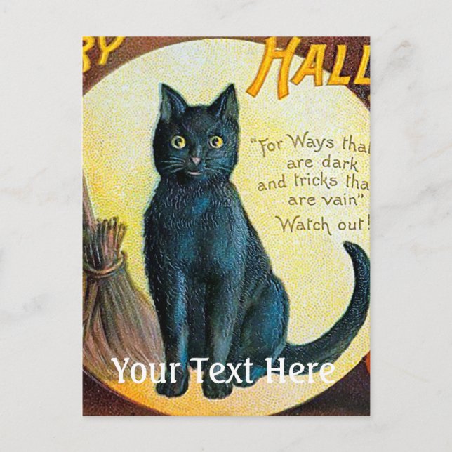Falln Merry Halloween Cat Postcard (Front)