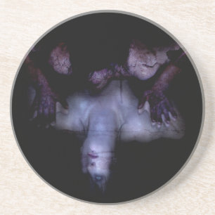 Falln MirrorMirror Coaster
