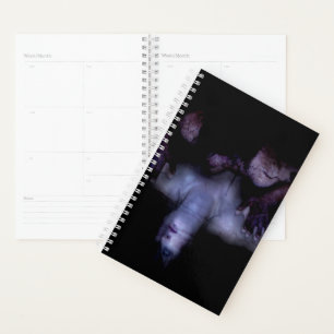 Falln MirrorMirror Planner