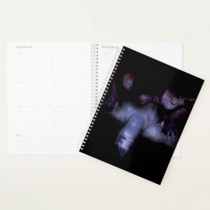 Falln MirrorMirror Planner