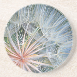 Falln New Wishes Coaster