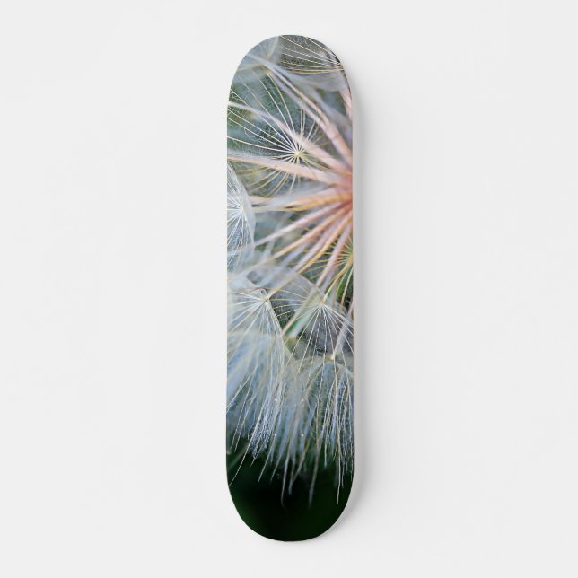 Falln New Wishes Skateboard (Front)