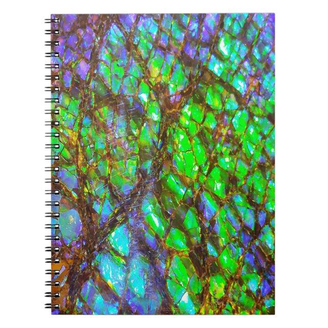 Falln Peacock Ammolite Notebook (Front)