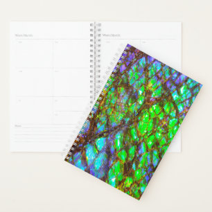Falln Peacock Ammolite Planner