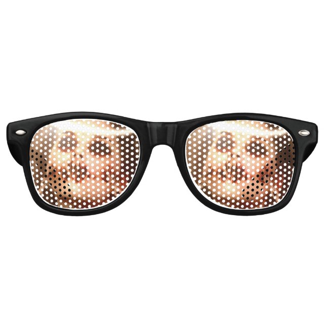 Falln Personal Saviour Retro Sunglasses (Front)
