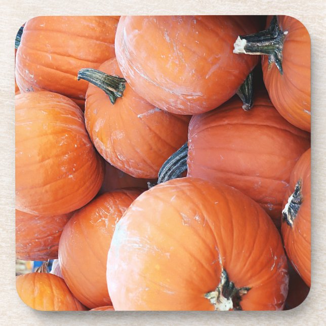 Falln Pumpkin Pile Coaster (Front)
