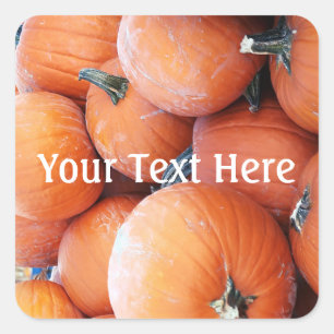 Falln Pumpkin Pile Square Sticker