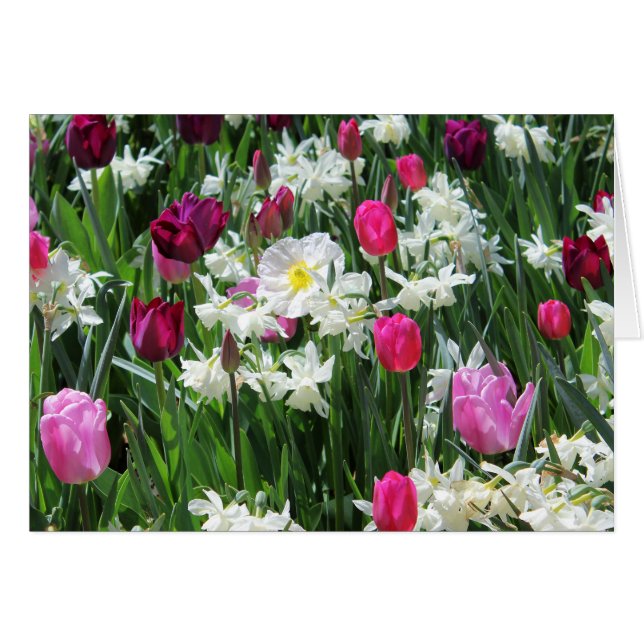Falln Romantic Spring Morning (Front Horizontal)