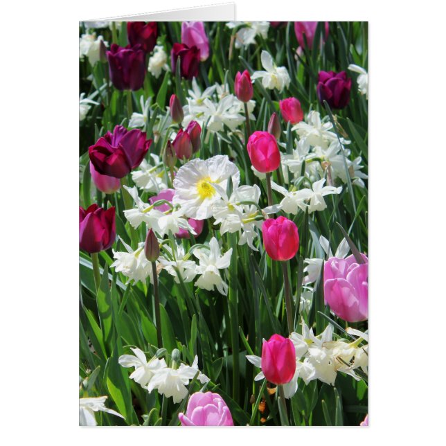 Falln Romantic Spring Morning (Front)