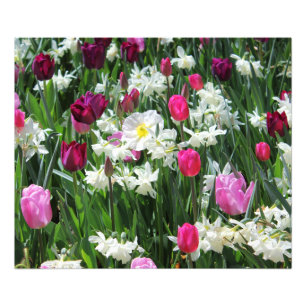 Falln Romantic Spring Morning Photo Print