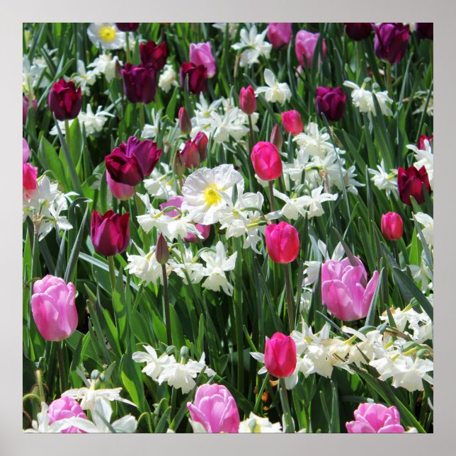 Falln Romantic Spring Morning Poster (Front)