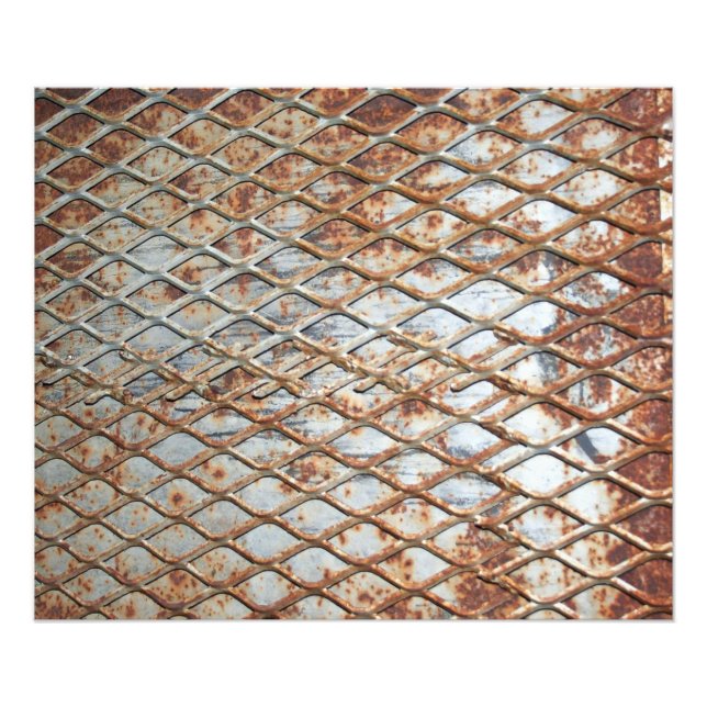 Falln Rusty Grate Photo Print (Front)