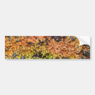 Falln Rusty Sunset Stones Bumper Sticker