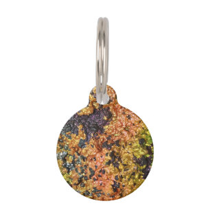 Falln Rusty Sunset Stones Pet Tag