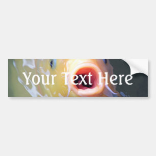 Falln Singing Ghost Koi Bumper Sticker