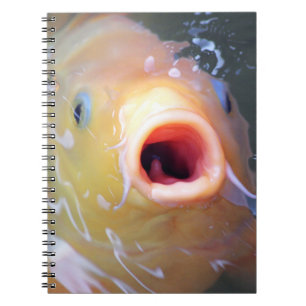 Falln Singing Ghost Koi Notebook