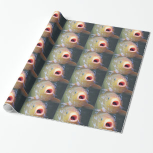 Falln Singing Ghost Koi Wrapping Paper